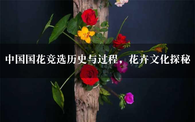 中国国花竞选历史与过程，花卉文化探秘