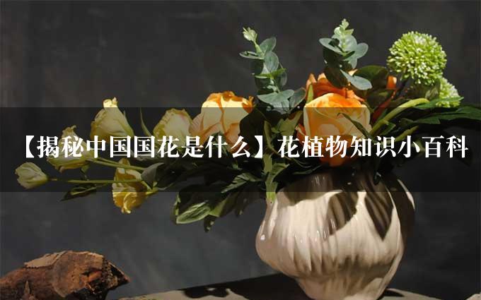 【揭秘中国国花是什么】花植物知识小百科