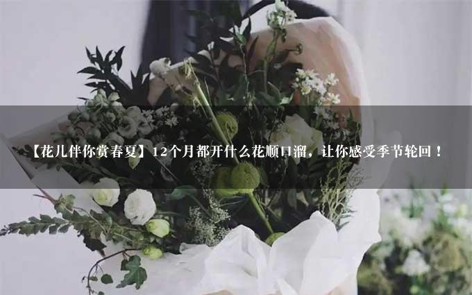 【花儿伴你赏春夏】12个月都开什么花顺口溜，让你感受季节轮回！