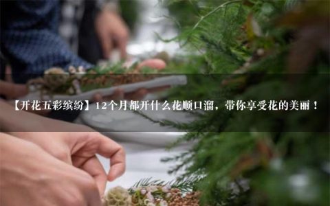 【开花五彩缤纷】12个月都开什么花顺口溜，带你享受花的美丽！