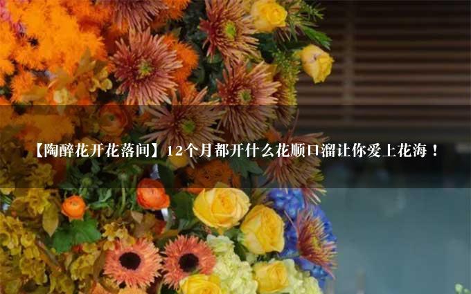 【陶醉花开花落间】12个月都开什么花顺口溜让你爱上花海！