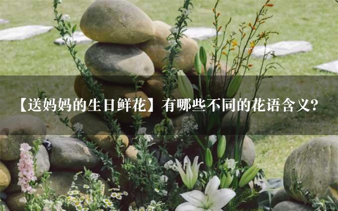 【送妈妈的生日鲜花】有哪些不同的花语含义？