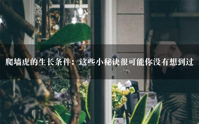 爬墙虎的生长条件：这些小秘诀很可能你没有想到过