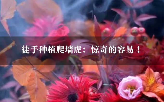 徒手种植爬墙虎：惊奇的容易！