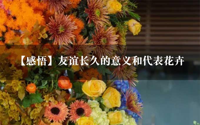 【感悟】友谊长久的意义和代表花卉