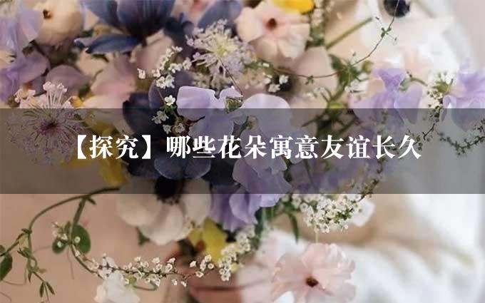 【探究】哪些花朵寓意友谊长久