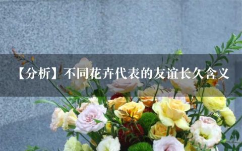 【分析】不同花卉代表的友谊长久含义