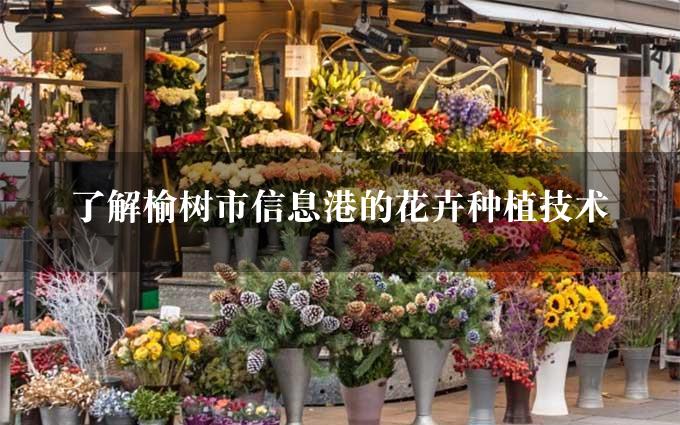 了解榆树市信息港的花卉种植技术