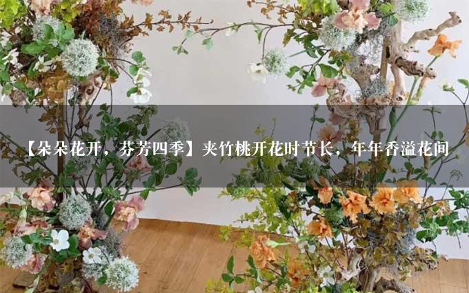 【朵朵花开，芬芳四季】夹竹桃开花时节长，年年香溢花间