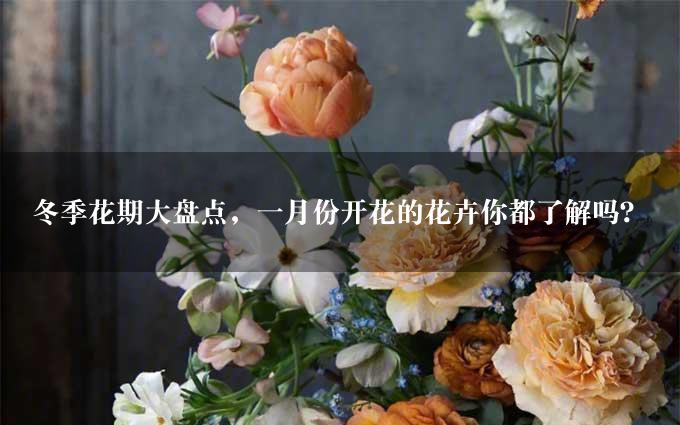 冬季花期大盘点，一月份开花的花卉你都了解吗？