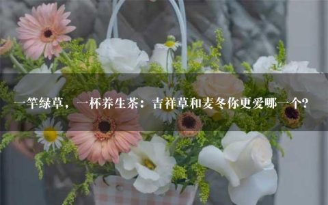 一竿绿草，一杯养生茶：吉祥草和麦冬你更爱哪一个？