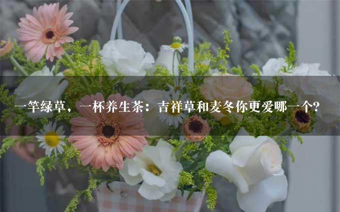 一竿绿草，一杯养生茶：吉祥草和麦冬你更爱哪一个？