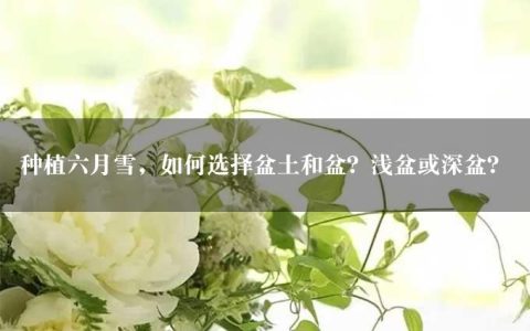 种植六月雪，如何选择盆土和盆？浅盆或深盆？