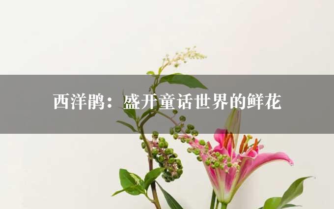 西洋鹃：盛开童话世界的鲜花