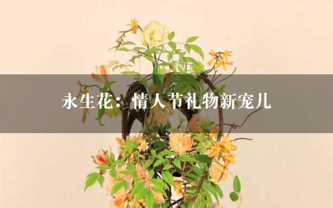 永生花：情人节礼物新宠儿