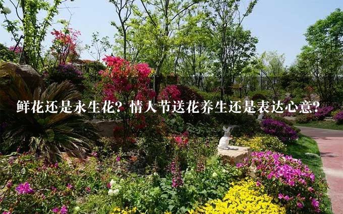 鲜花还是永生花？情人节送花养生还是表达心意？