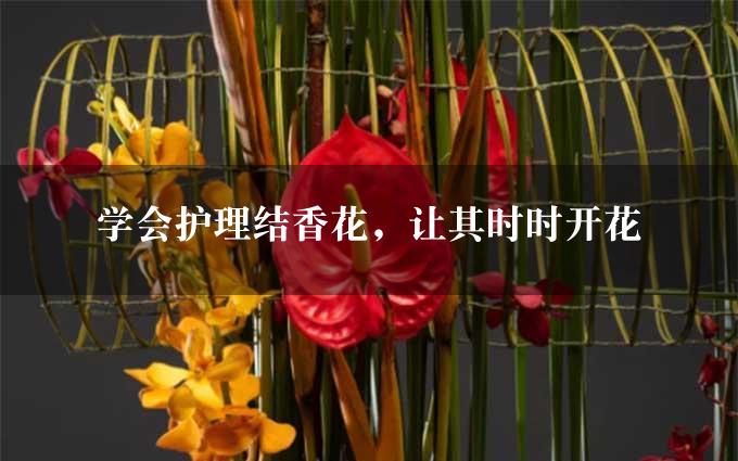 学会护理结香花，让其时时开花