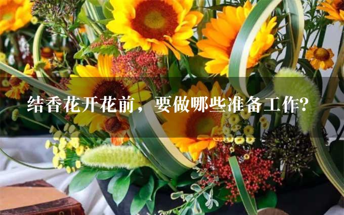 结香花开花前，要做哪些准备工作？