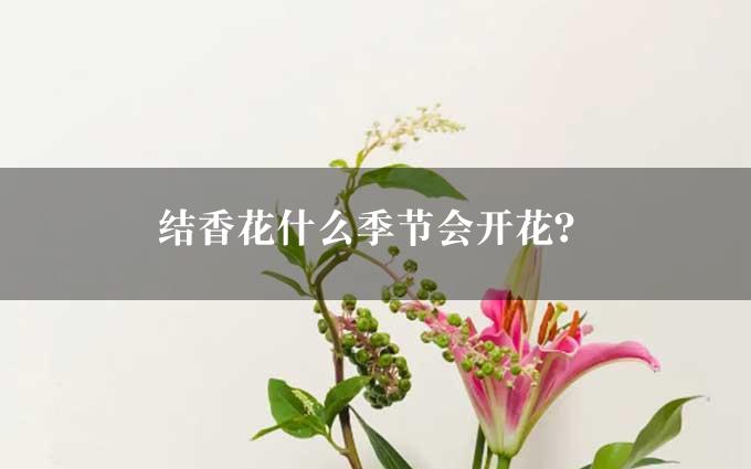 结香花什么季节会开花？