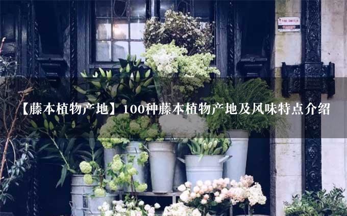 【藤本植物产地】100种藤本植物产地及风味特点介绍