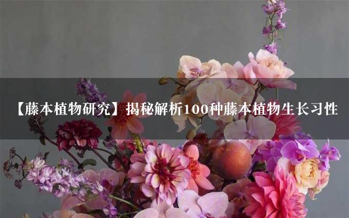 【藤本植物研究】揭秘解析100种藤本植物生长习性