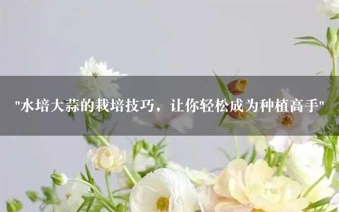 "水培大蒜的栽培技巧，让你轻松成为种植高手"