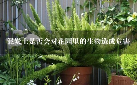 泥炭土是否会对花园里的生物造成危害