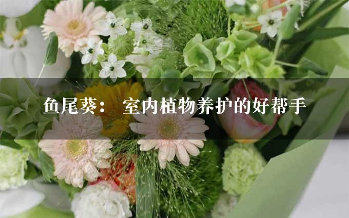 鱼尾葵： 室内植物养护的好帮手