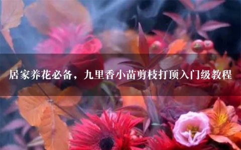 居家养花必备，九里香小苗剪枝打顶入门级教程