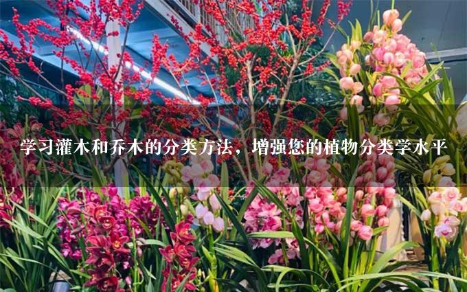 学习灌木和乔木的分类方法，增强您的植物分类学水平