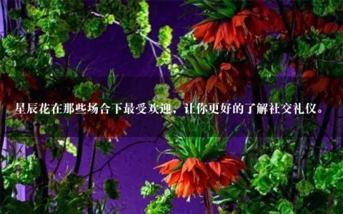 星辰花在那些场合下最受欢迎，让你更好的了解社交礼仪。