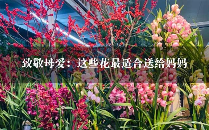 致敬母爱：这些花最适合送给妈妈