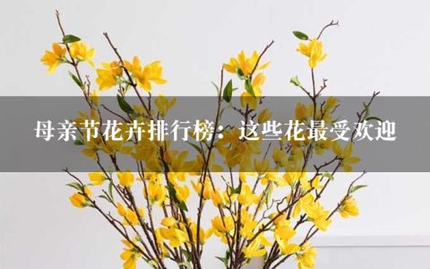 母亲节花卉排行榜：这些花最受欢迎