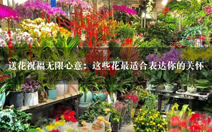 送花祝福无限心意：这些花最适合表达你的关怀