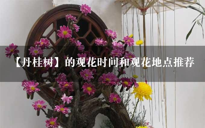 【丹桂树】的观花时间和观花地点推荐