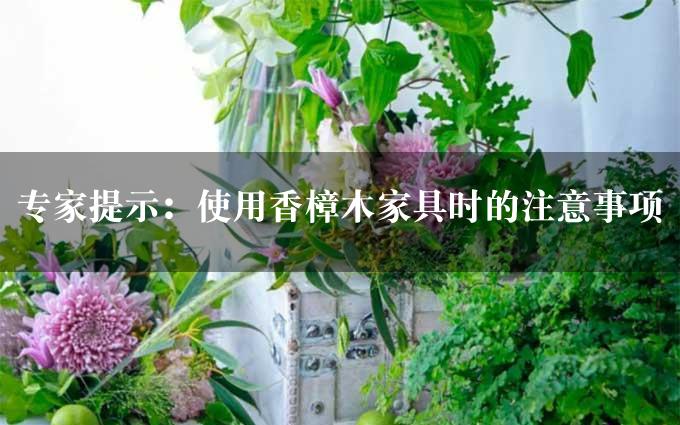 专家提示：使用香樟木家具时的注意事项