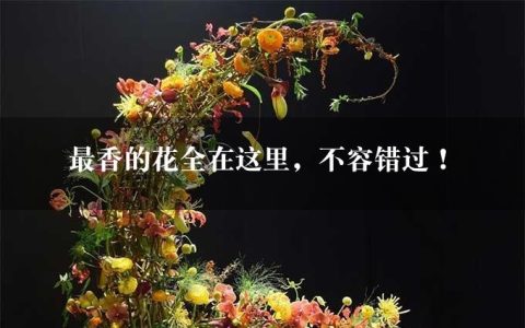 最香的花全在这里，不容错过！