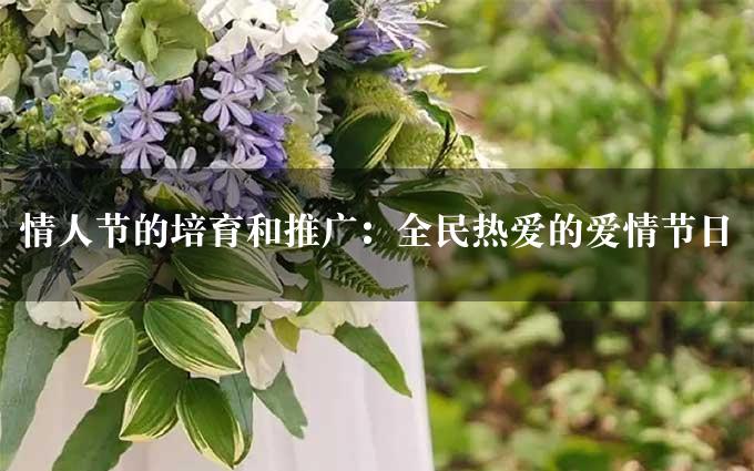 情人节的培育和推广：全民热爱的爱情节日