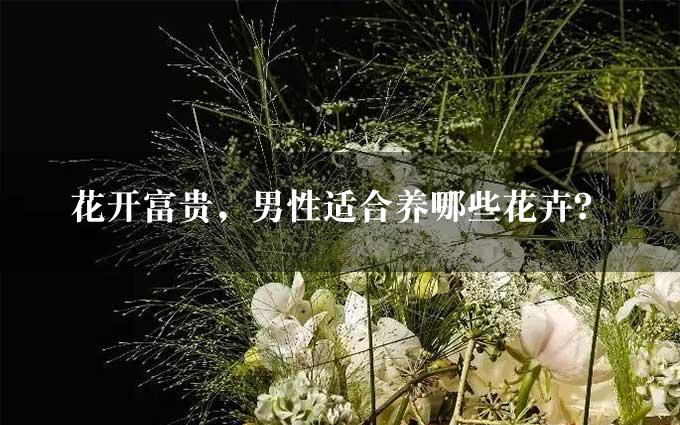 花开富贵，男性适合养哪些花卉？