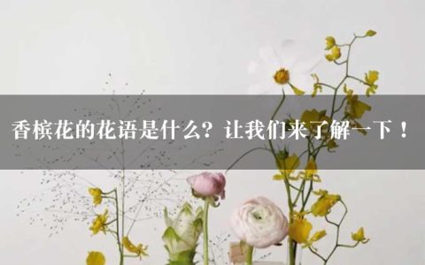 香槟花的花语是什么？让我们来了解一下！