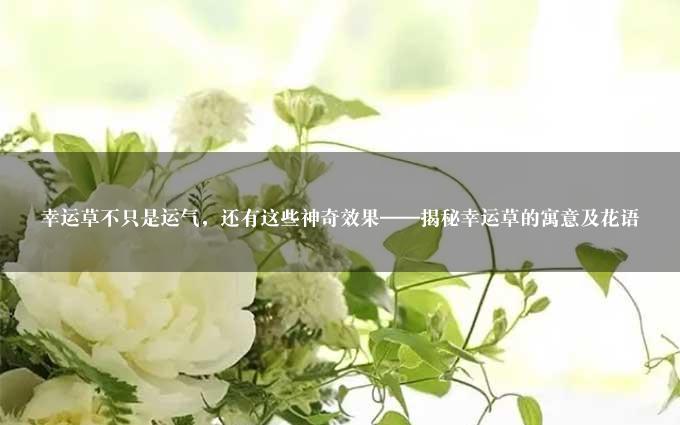 幸运草不只是运气，还有这些神奇效果——揭秘幸运草的寓意及花语