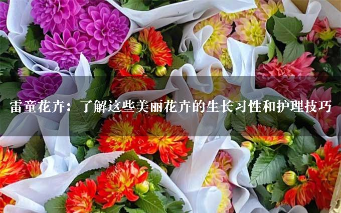 雷童花卉：了解这些美丽花卉的生长习性和护理技巧