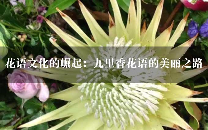 花语文化的崛起：九里香花语的美丽之路