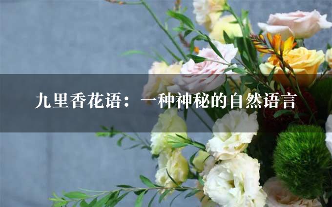 九里香花语：一种神秘的自然语言