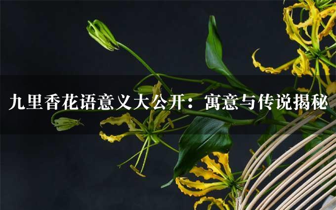 九里香花语意义大公开：寓意与传说揭秘