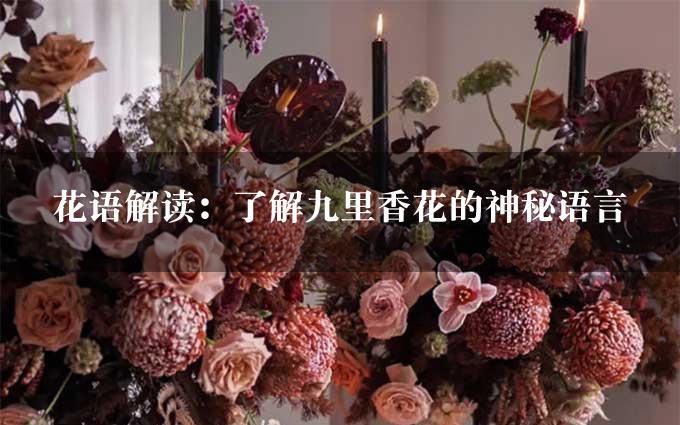 花语解读：了解九里香花的神秘语言