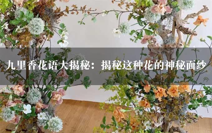 九里香花语大揭秘：揭秘这种花的神秘面纱