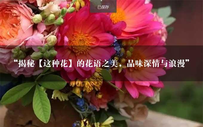 “揭秘【这种花】的花语之美，品味深情与浪漫”