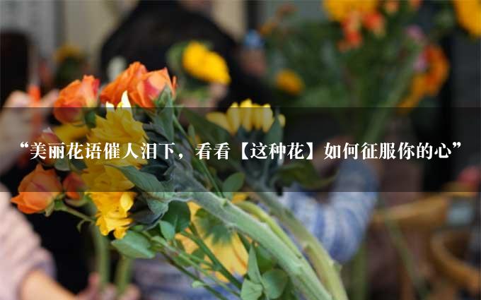 “美丽花语催人泪下，看看【这种花】如何征服你的心”