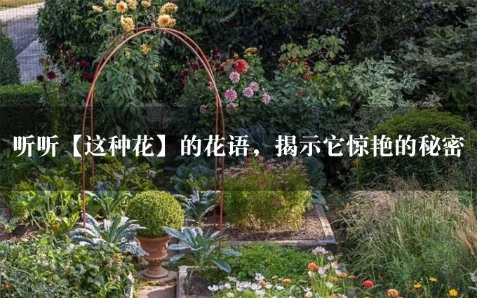 听听【这种花】的花语，揭示它惊艳的秘密